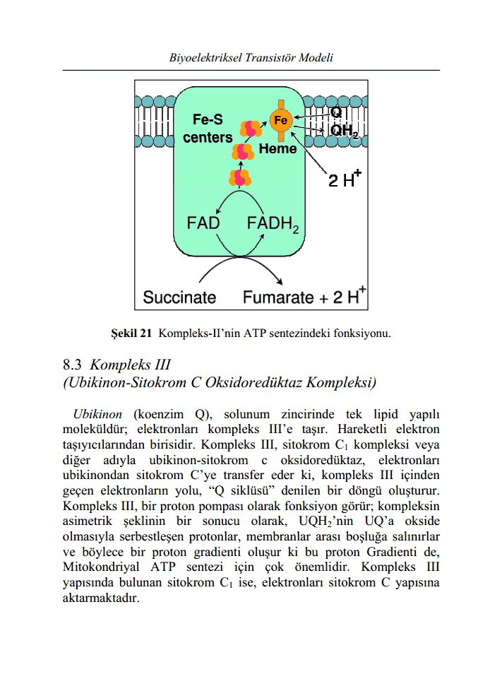 bioelektriksel transistor modeli1